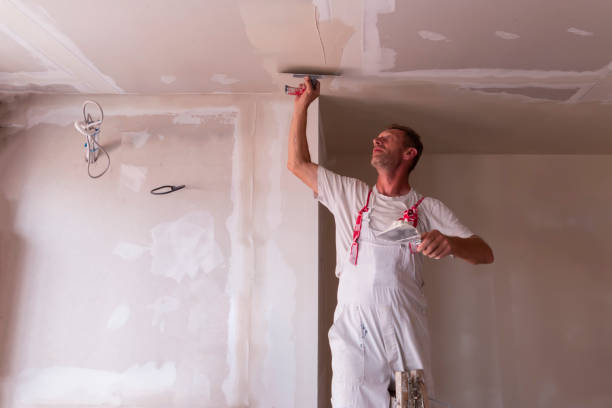 Best Drywall Crack Repair  in Mineralwells, WV